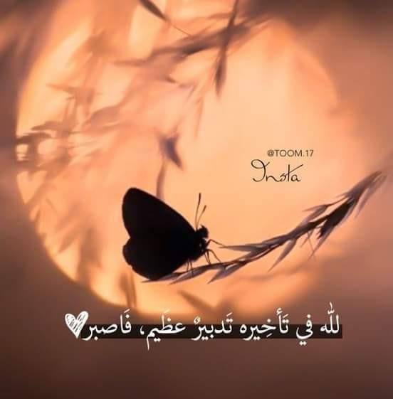 عب الخوين
