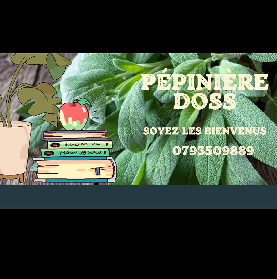 Pépinière Doss - Comment prendre soin d'un rosier ? En fin d'hiver ...