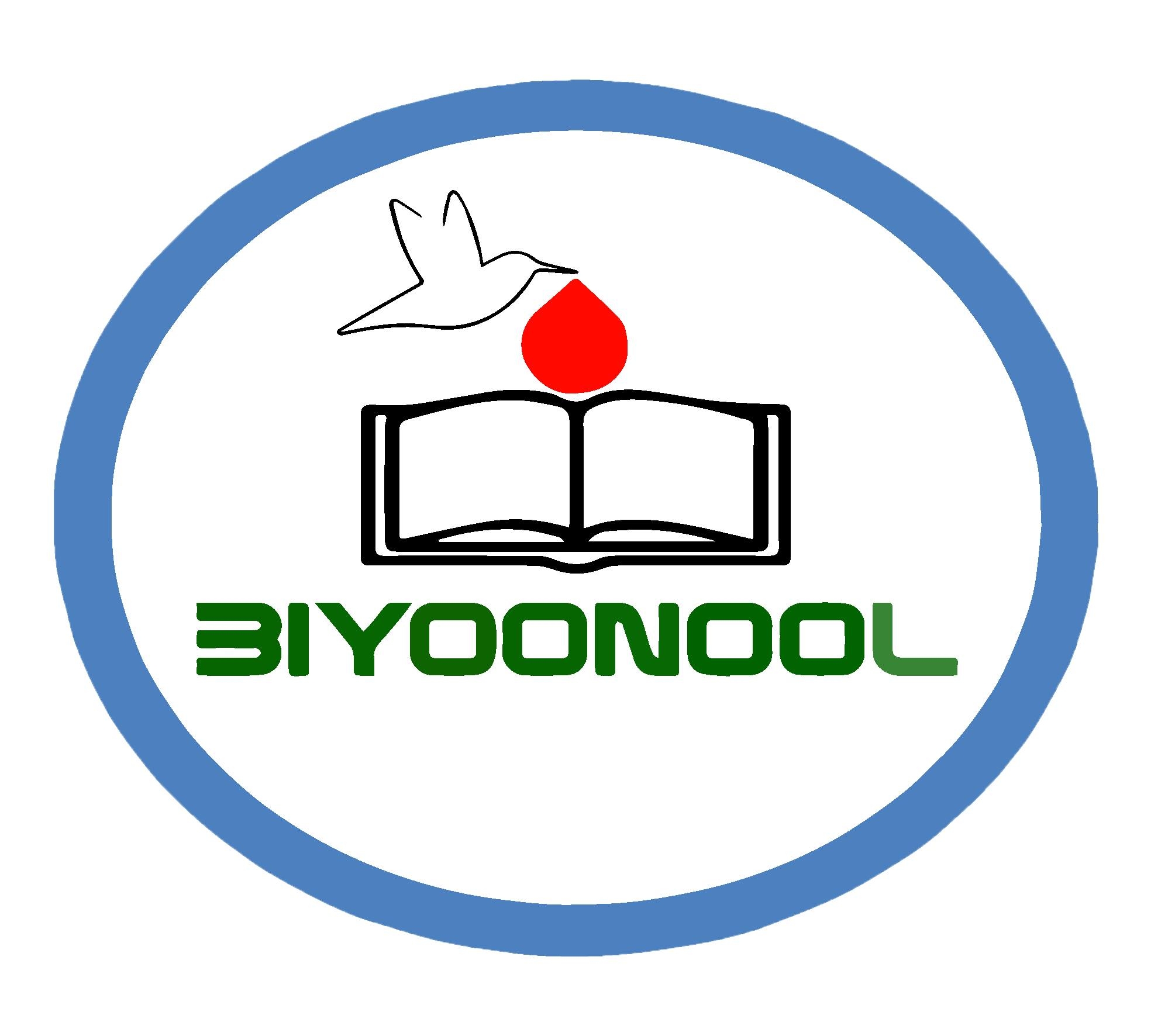 Biyoo nool
