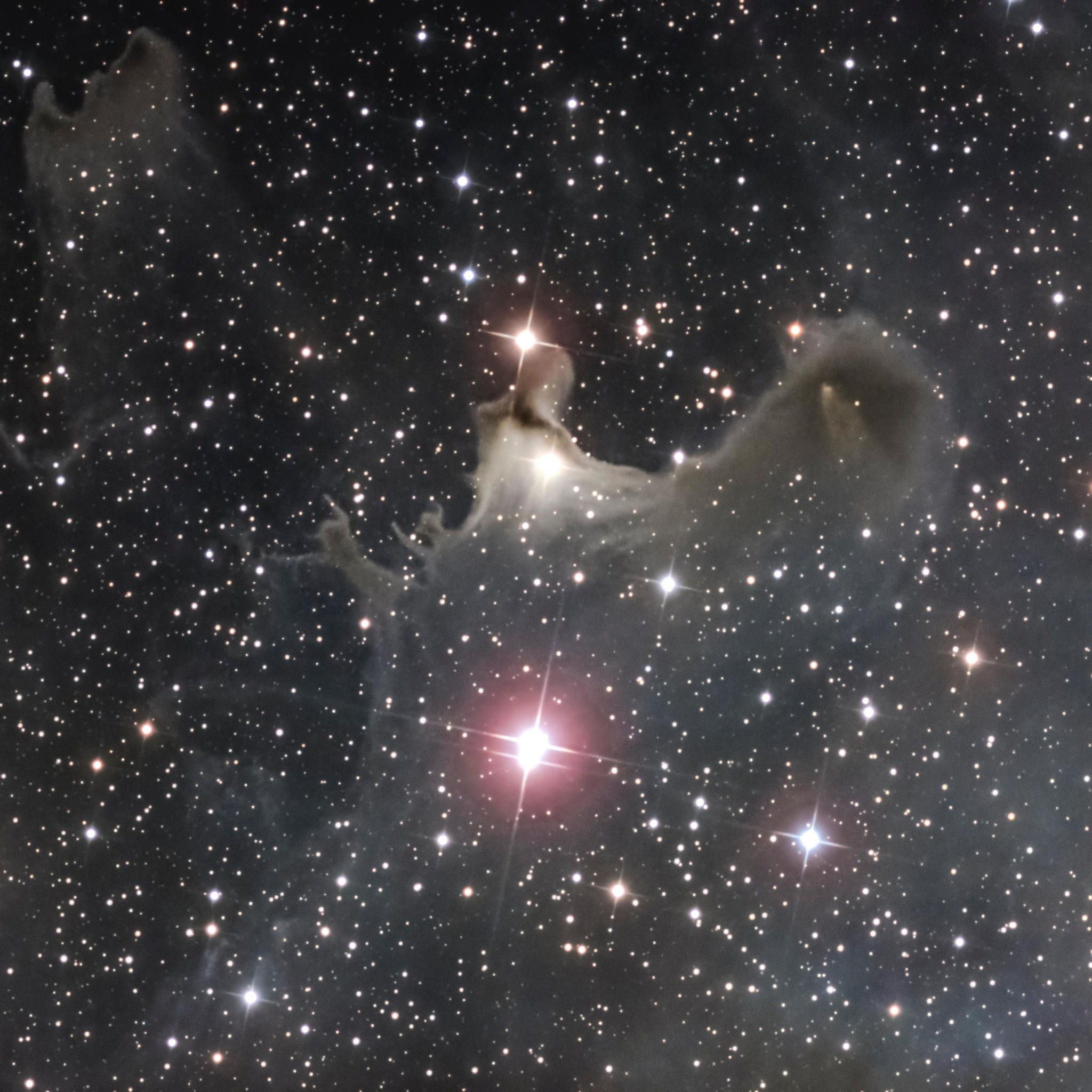 Hartman - A closer look at my favorite constellation Orion, many ...