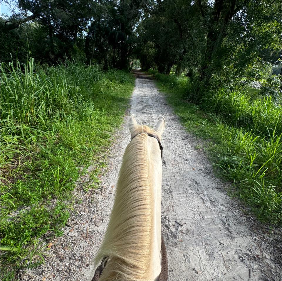 Ruxton's Ranch Rides | Pinellas Park FL