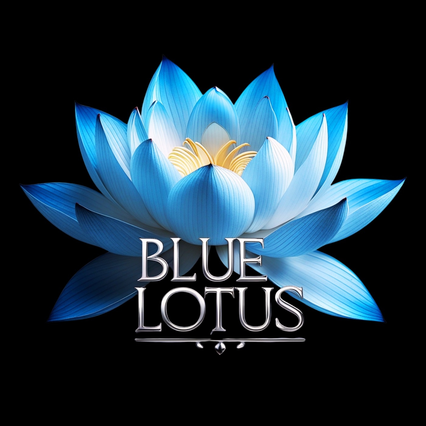 Blue Lotus Records | Montreal QC