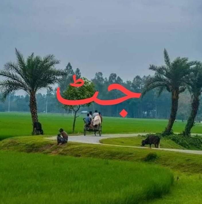 Hammad Rana