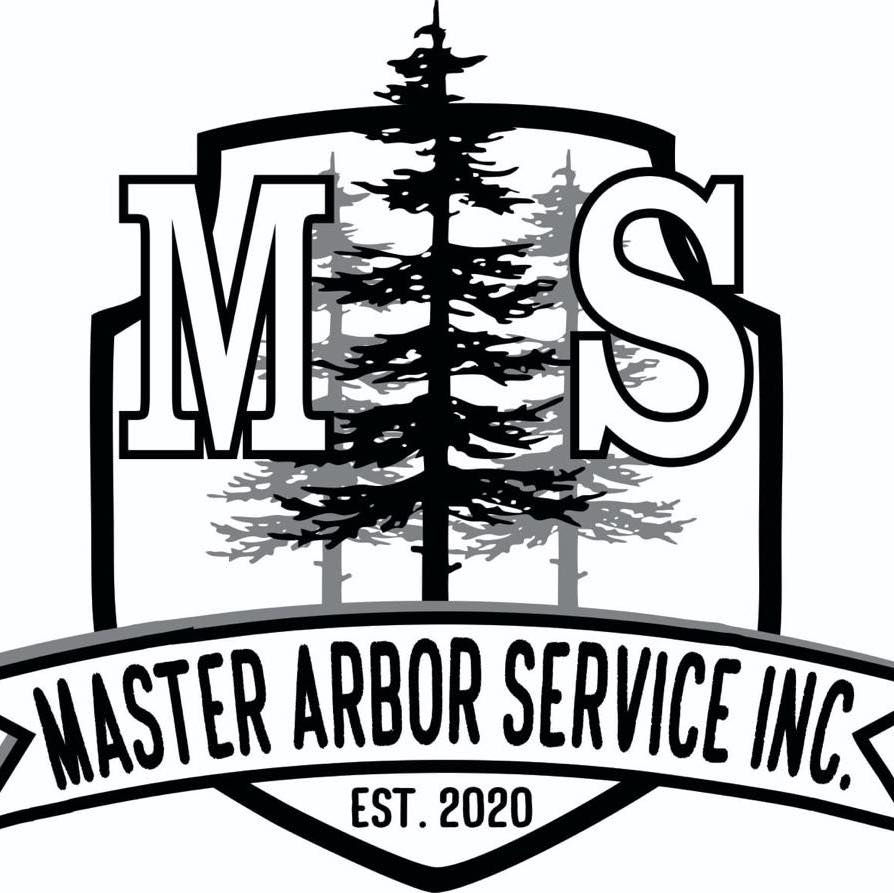 Master Arbor Service Inc | San Diego CA