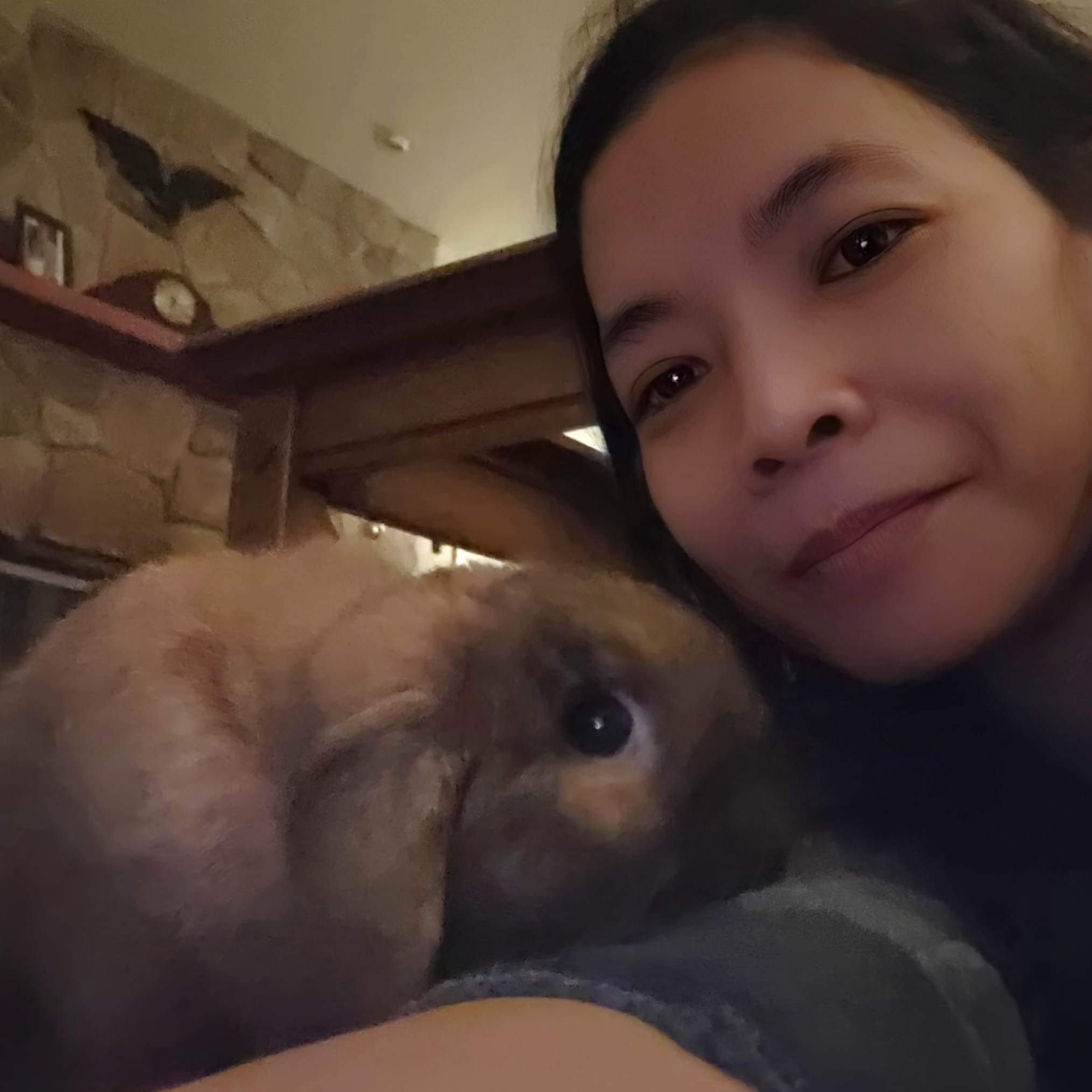 My Rabbit