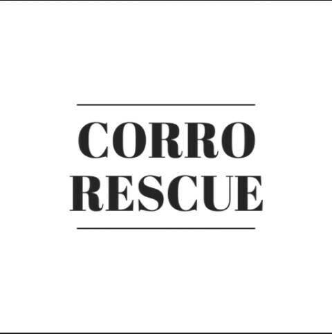 Corro Rescue