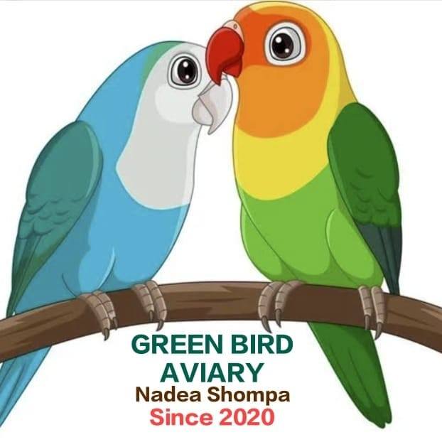 Green Networked Bird Aviary Solutions Reference: Green Bird Aviary