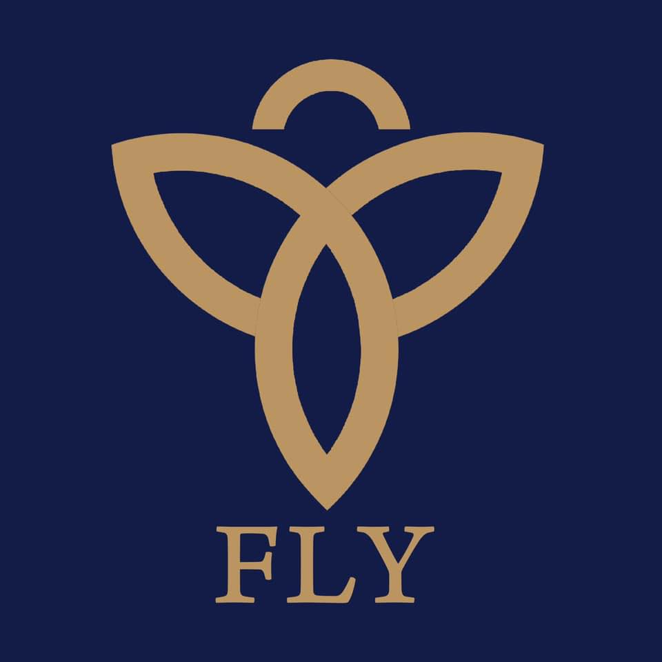 Fly Computer