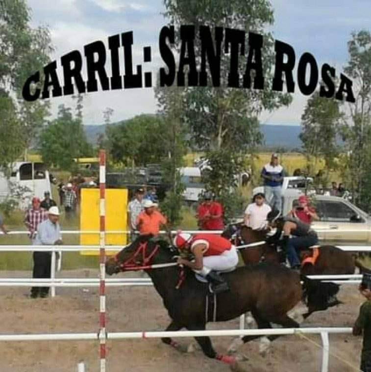 Carril Santa Rosa | Aguascalientes