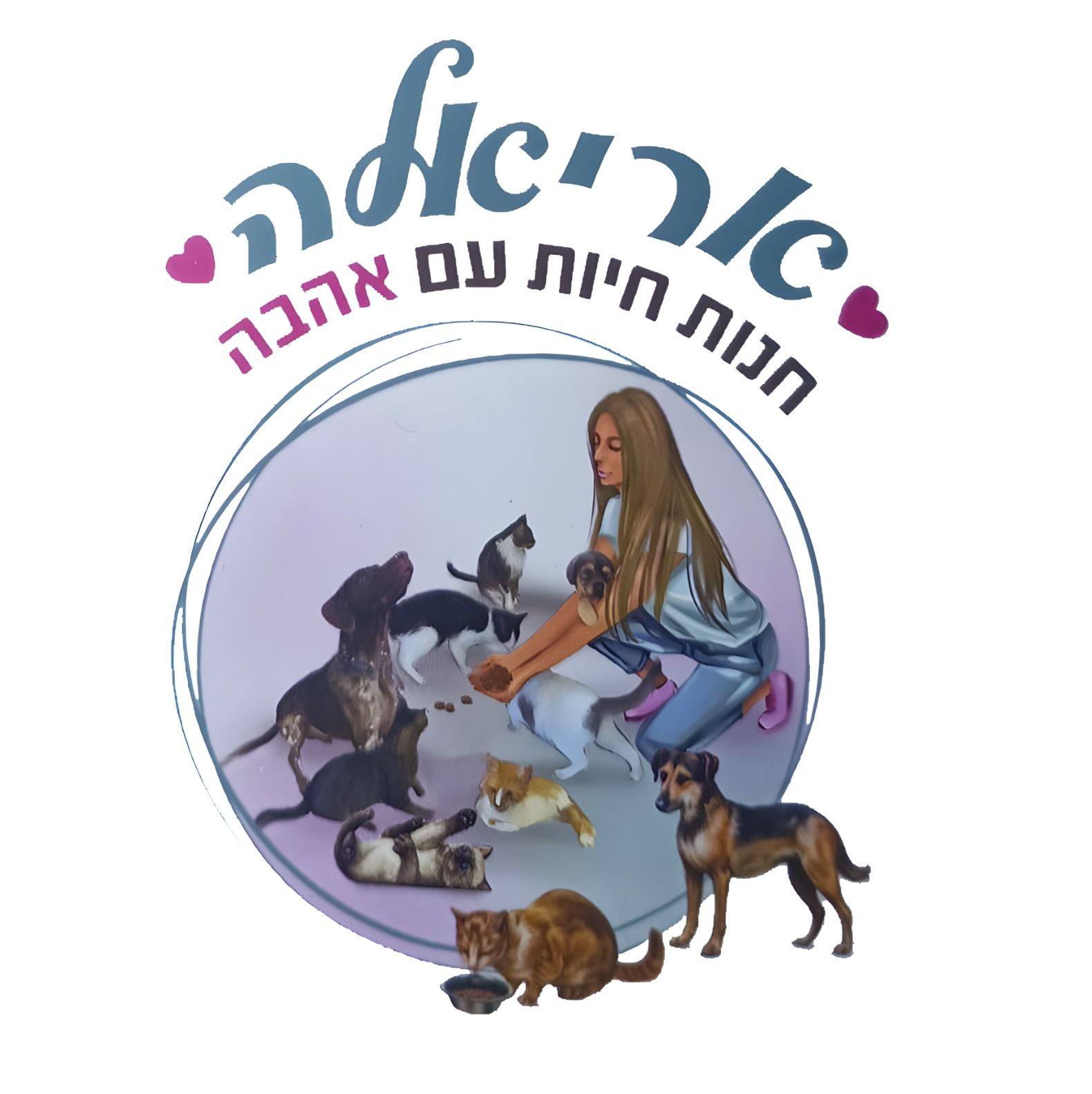 מי רוצה חלה לשבת??😃 עבודת יד של אזולאיי שלנו ️🤣 האמת שחלה לא תהיה - אבל ...