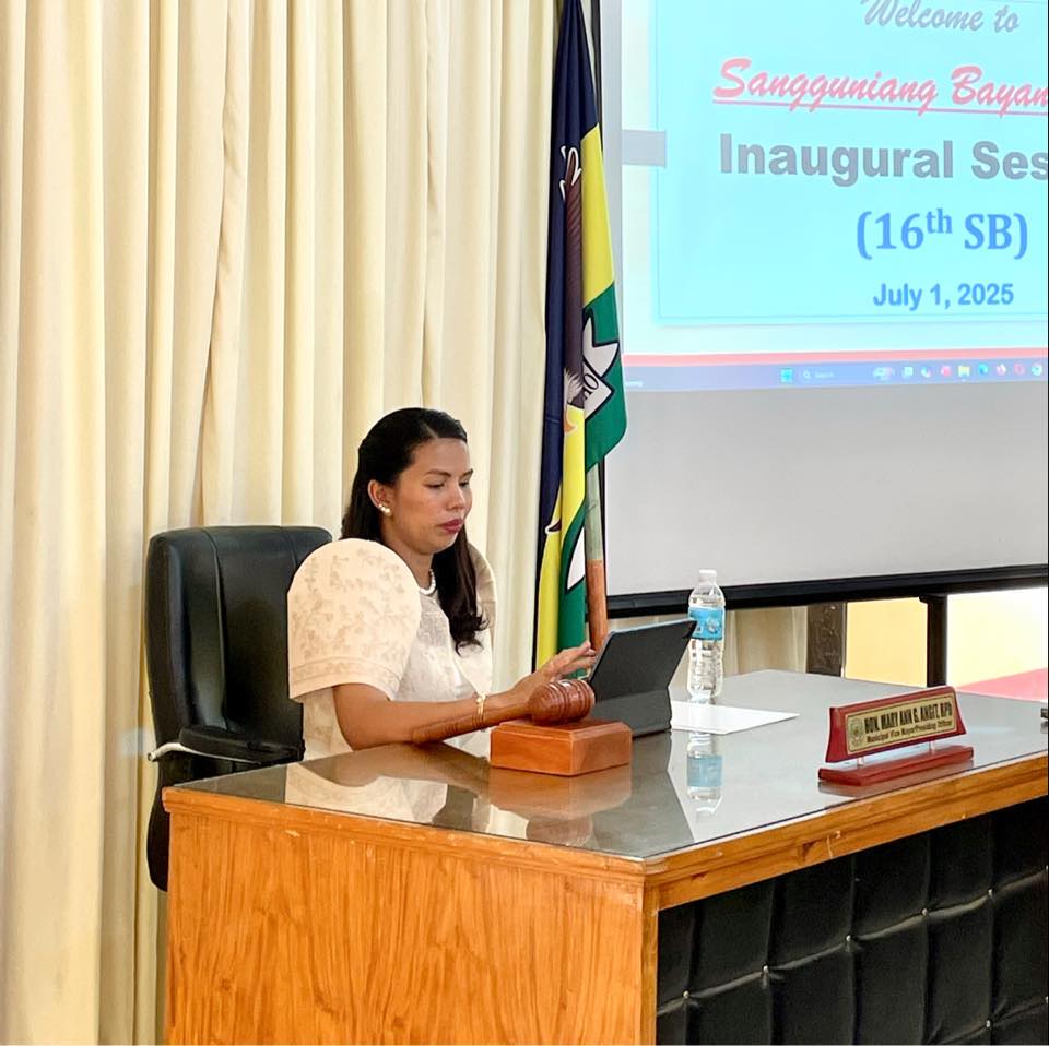 Vice Mayor Mia Angit