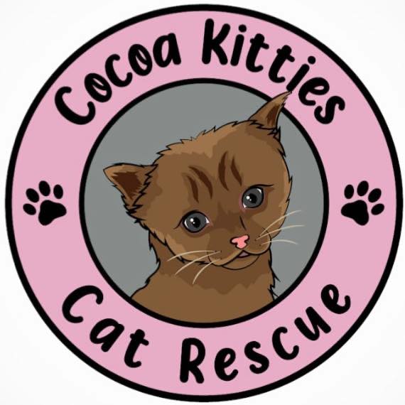 CocoaKitties - We have quite a few tabby cats in our... | Facebook