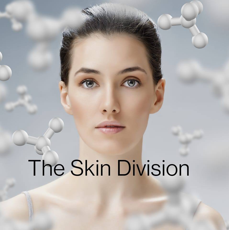 The Skin Division Inc | Chicago IL