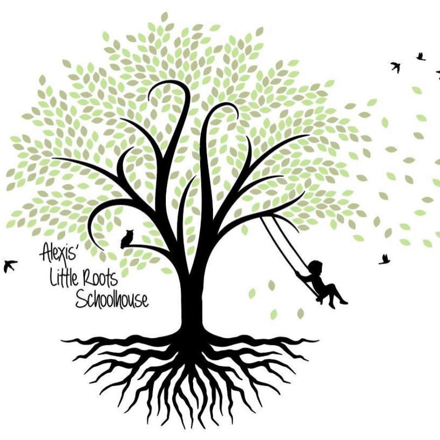 Little Roots School