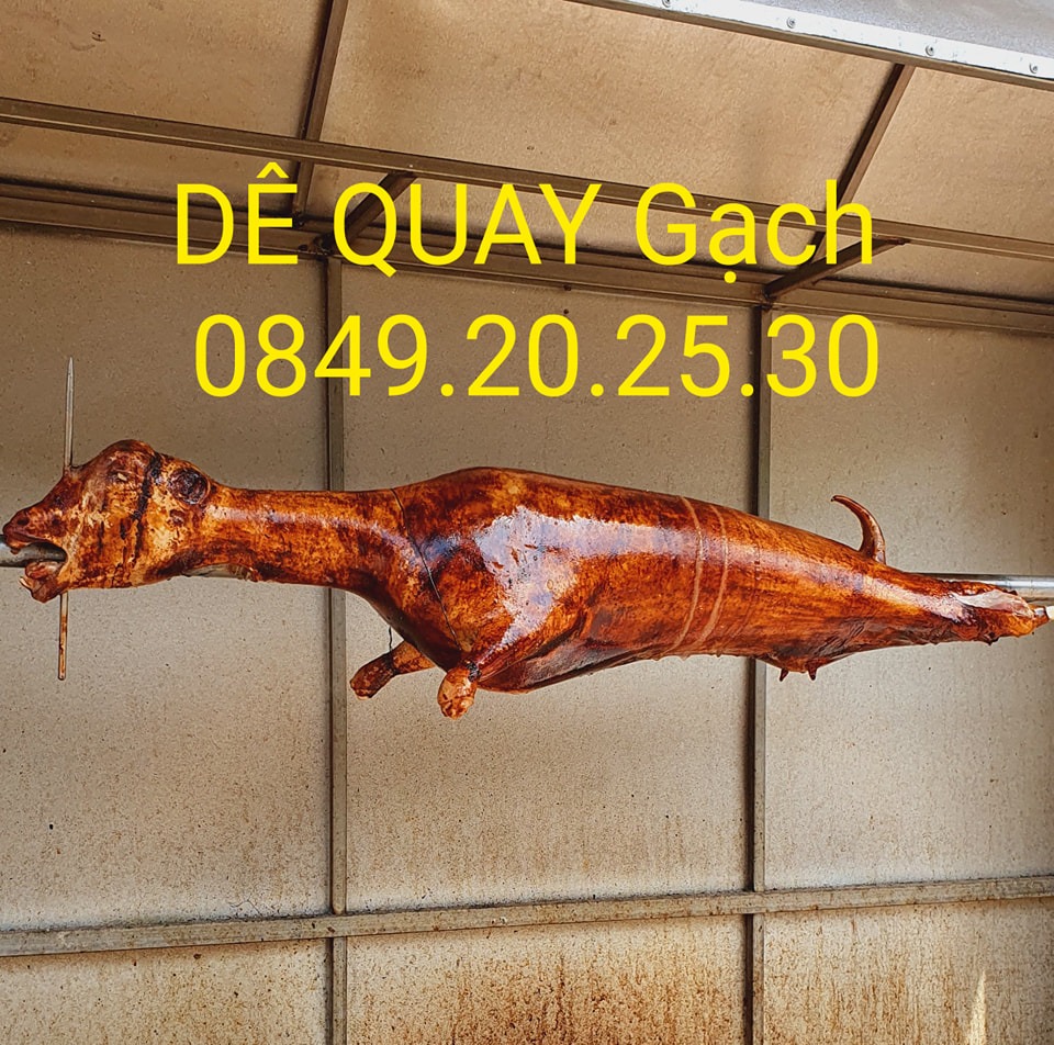DÊ QUAY Gạch - Đèn Đỏ Chợ Mới TP. Cam Ranh | Cam Ranh Port
