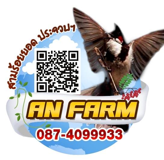 ANFarm