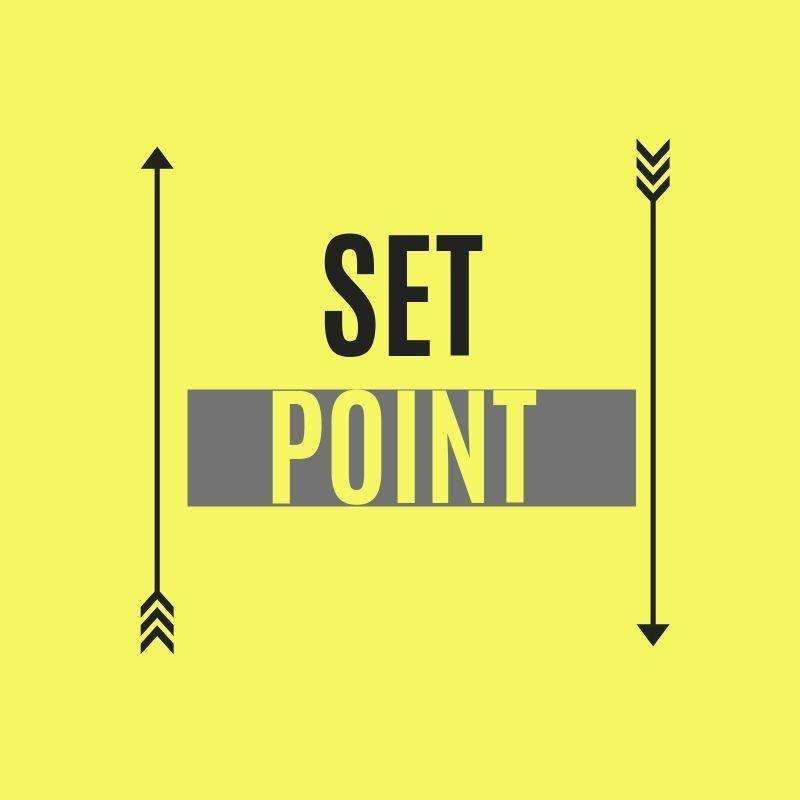 Set Point