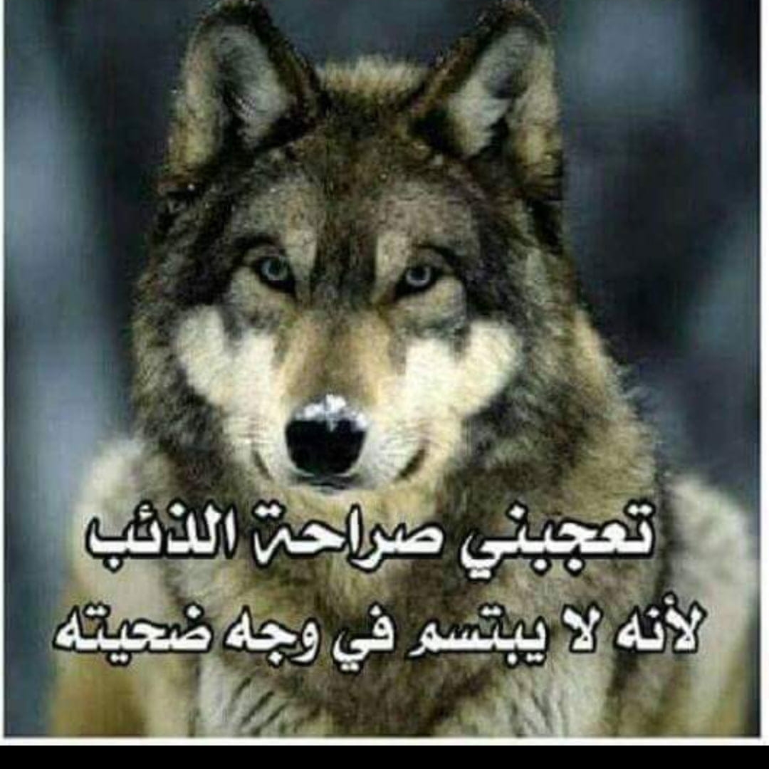 بيت عوا الحدث