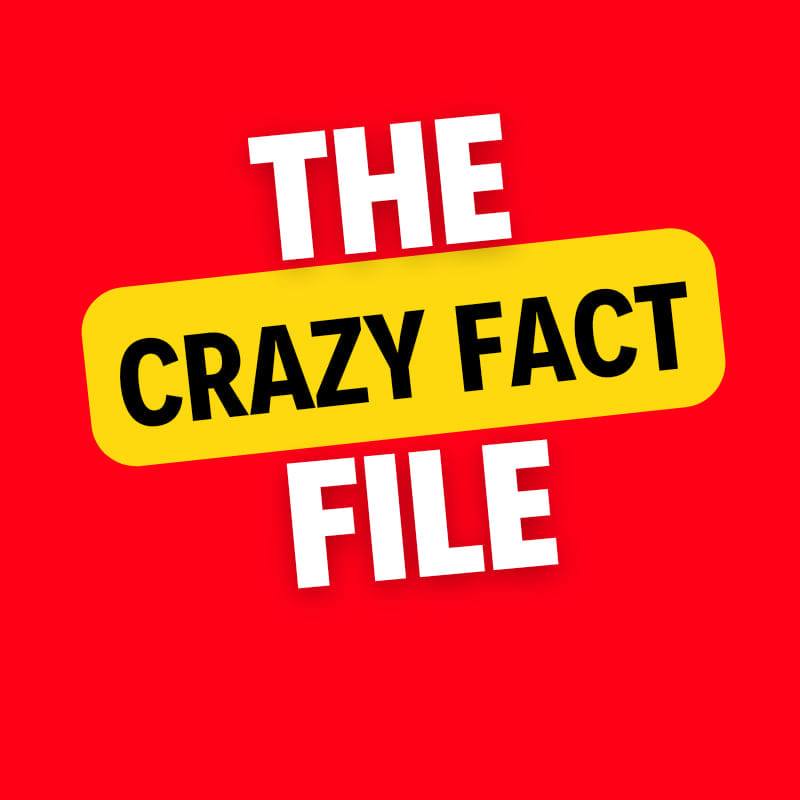 CRAZY Fact File | Bihar Sharif