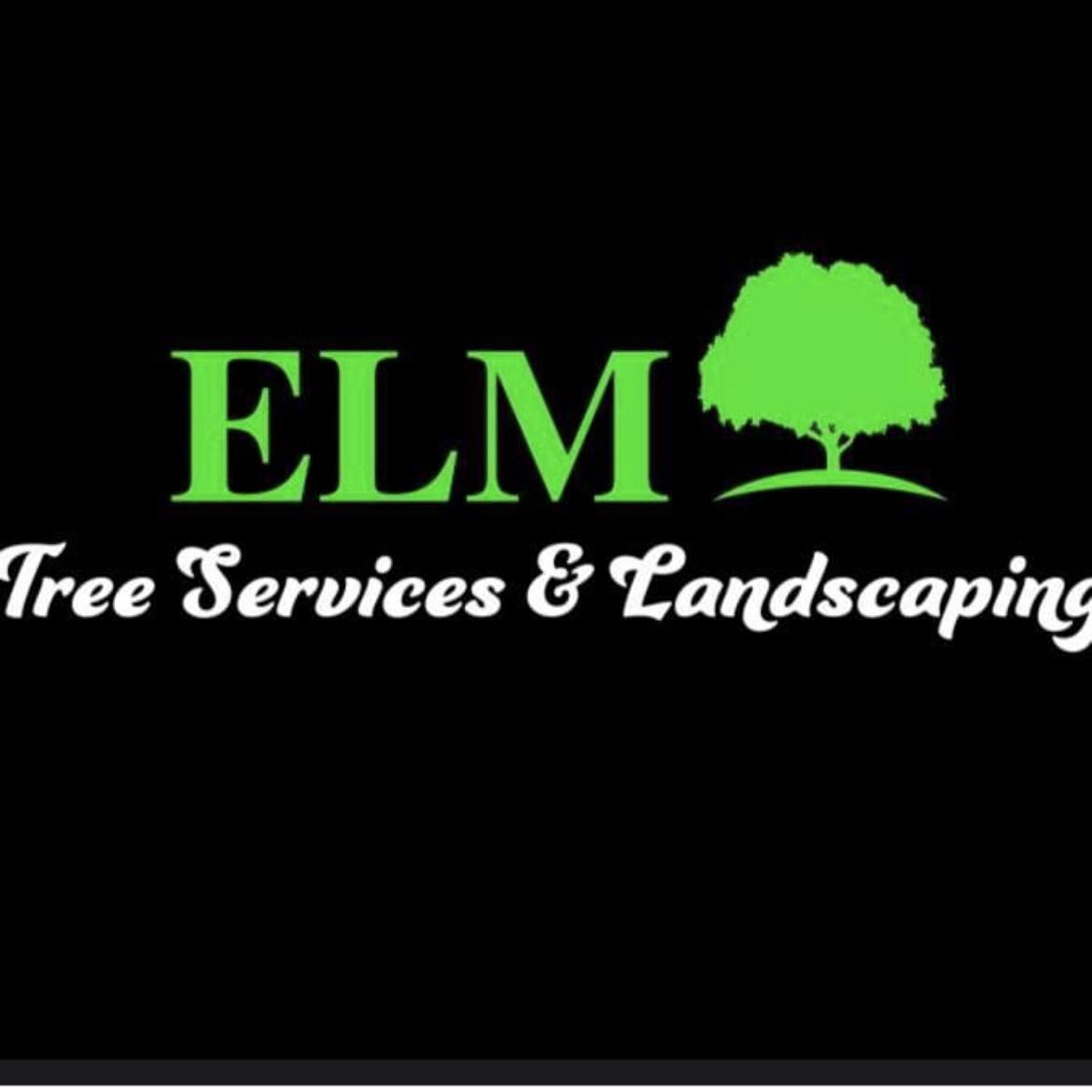 Elm Tree services and landscaping | Newburyport MA