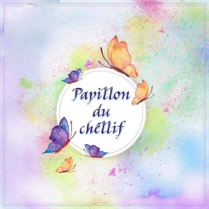 Papillon Du Chéllif