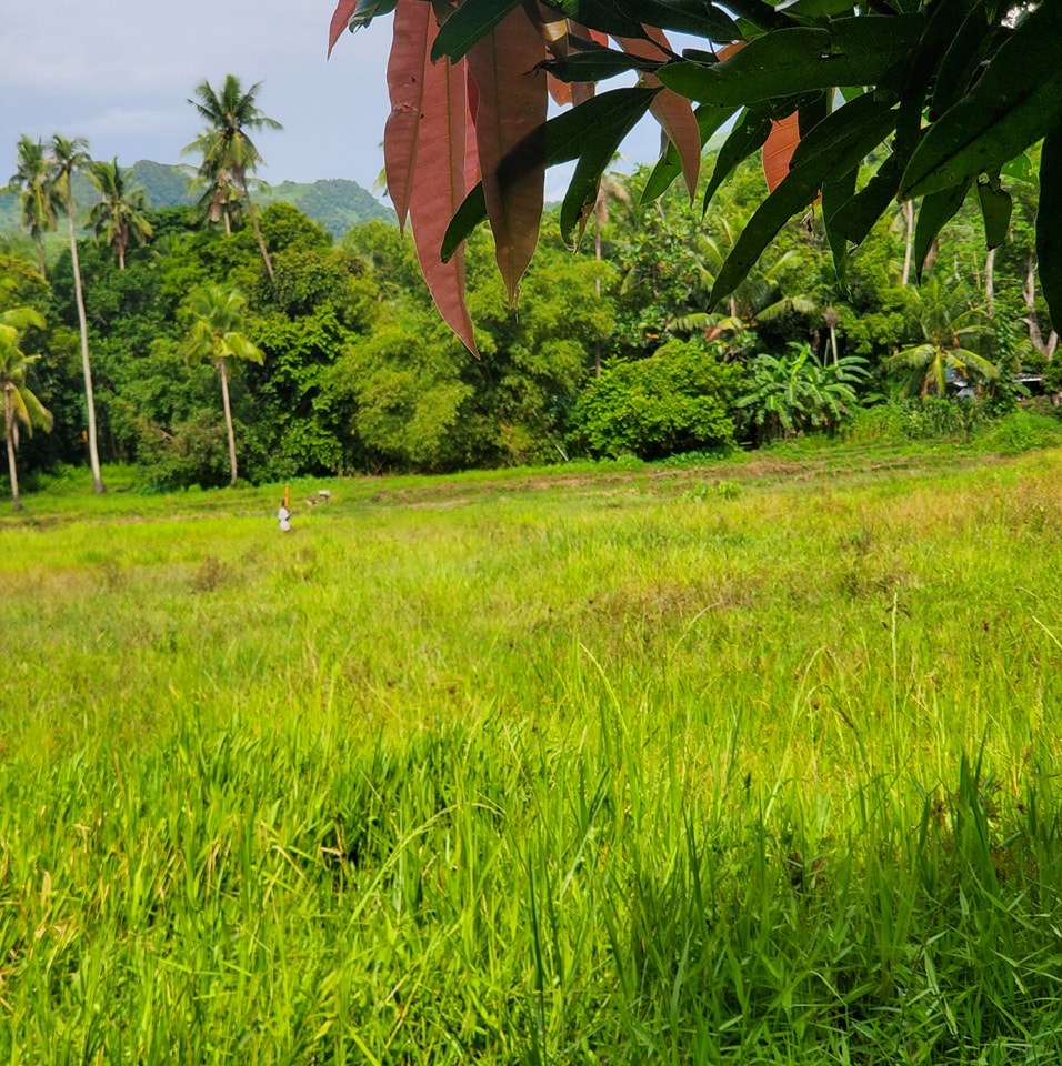 Buhay_Probinsya | Romblon