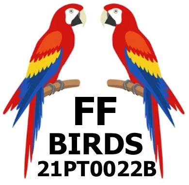 FF Birds
