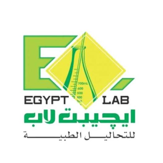 EGYPT LAB | Cairo