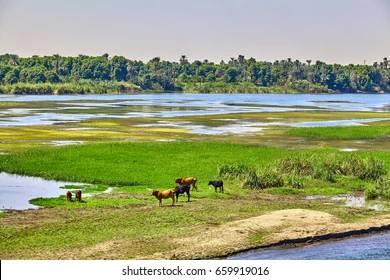 Visit Alanil Region