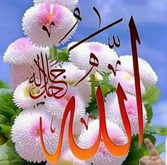 دین اسلام علمائے کرام کے خق میں آواز بلند کرنے آیا ہوں