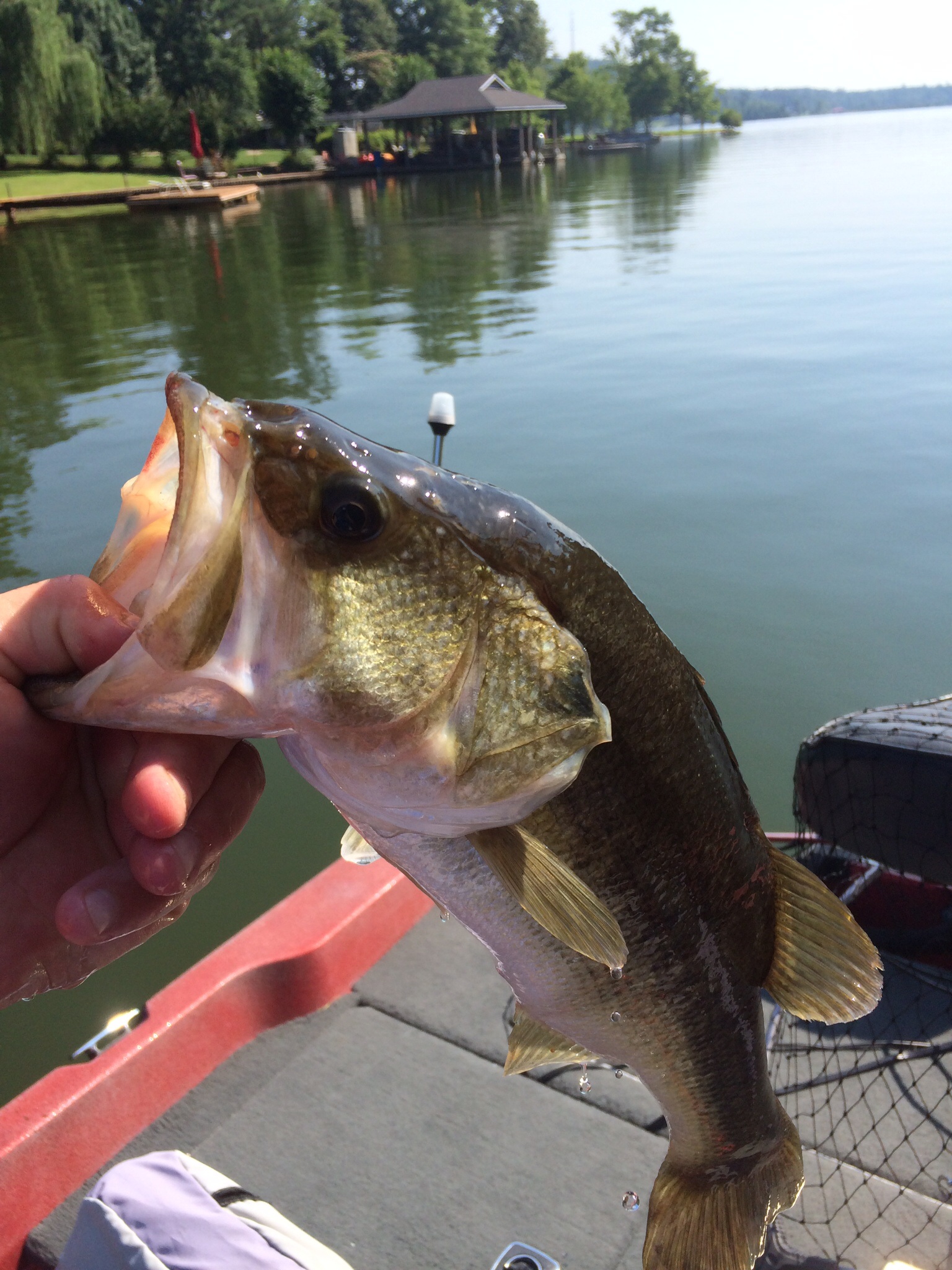 River rats fishing. Club