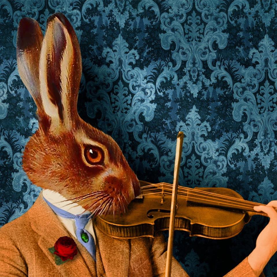 Rabbit & Fiddle