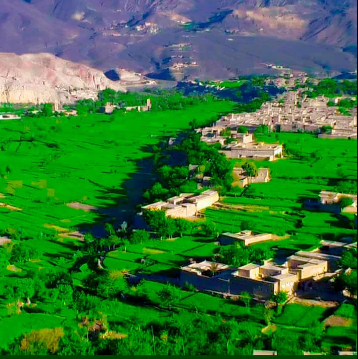 اجنبی وزیرستانی