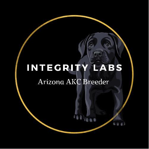 Az Integrity Labs