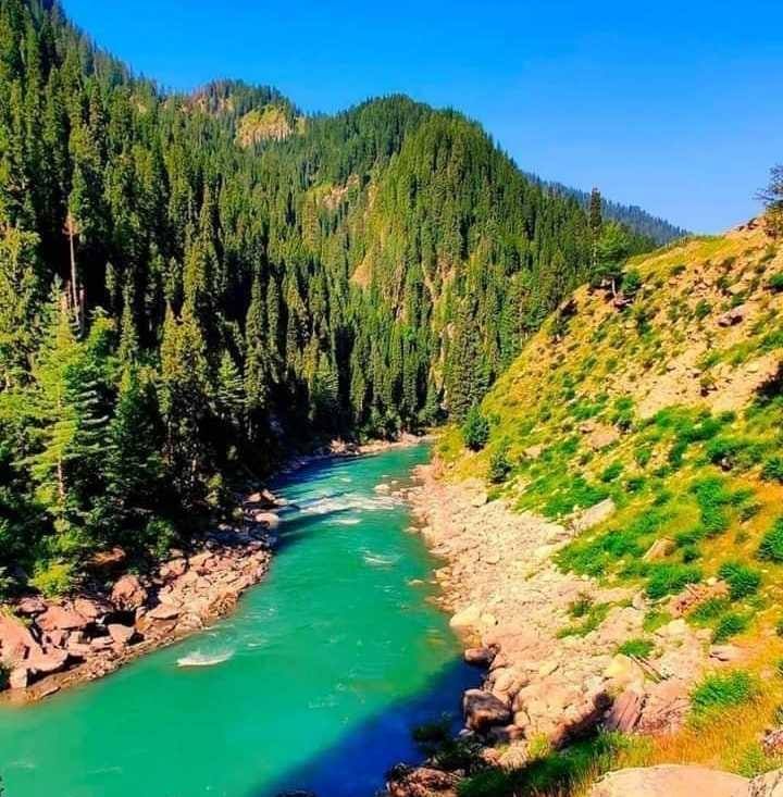 Gurra News Matta Swat KPK