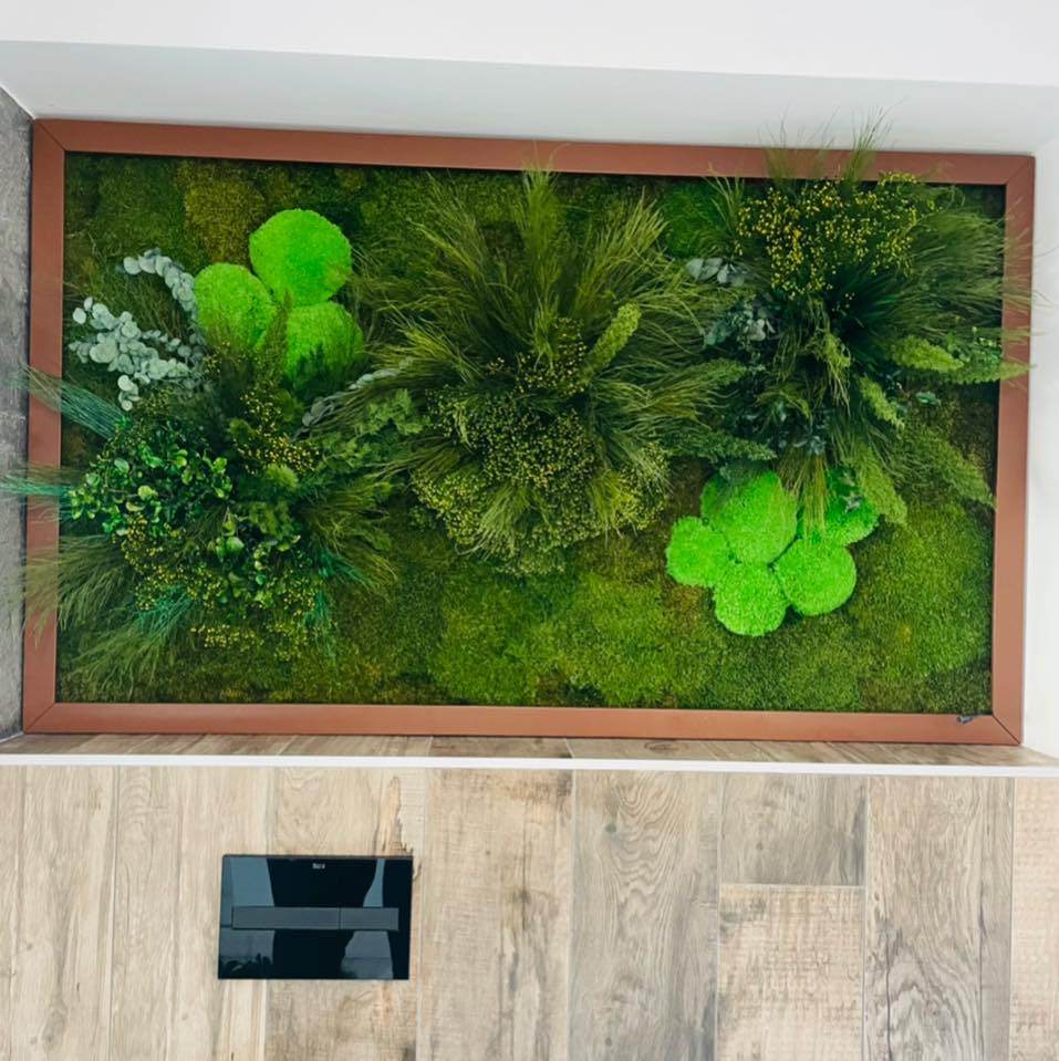 Green Wall | Piatra Neamt