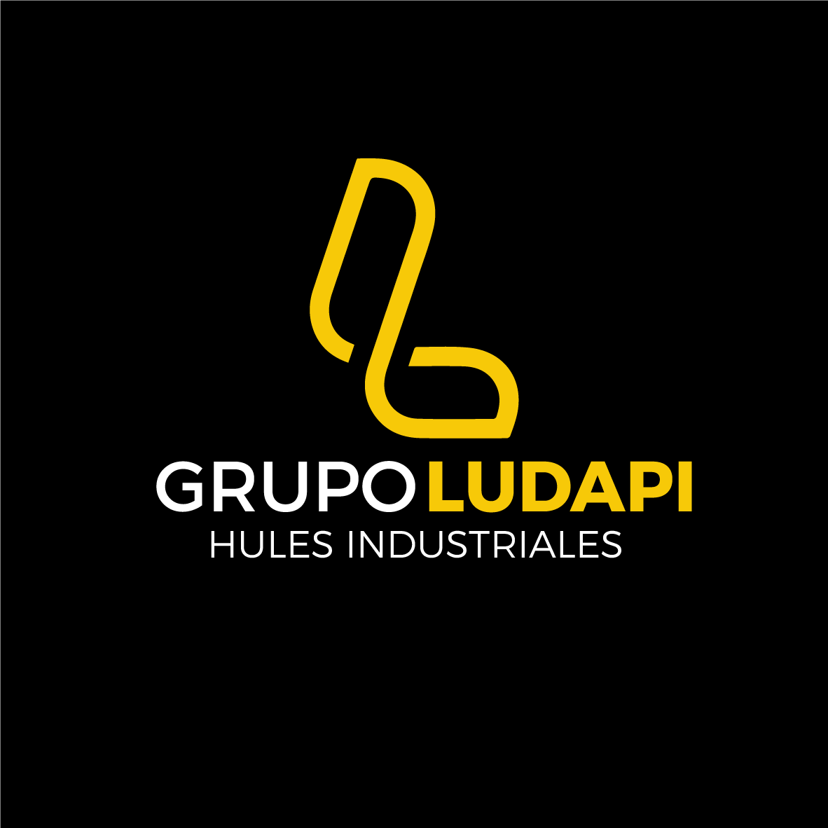 Grupo Ludapi SA De CV
