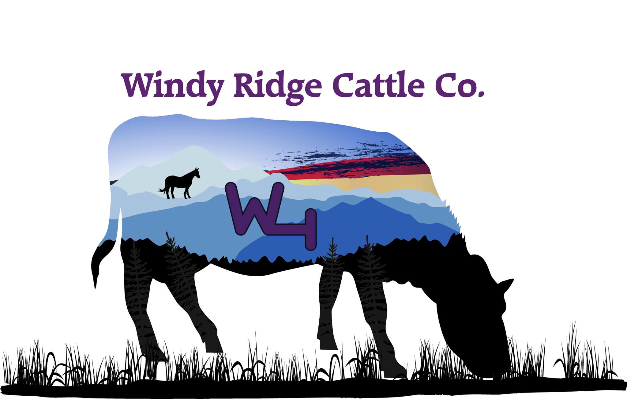 Windy Ridge Cattle Company, LLC