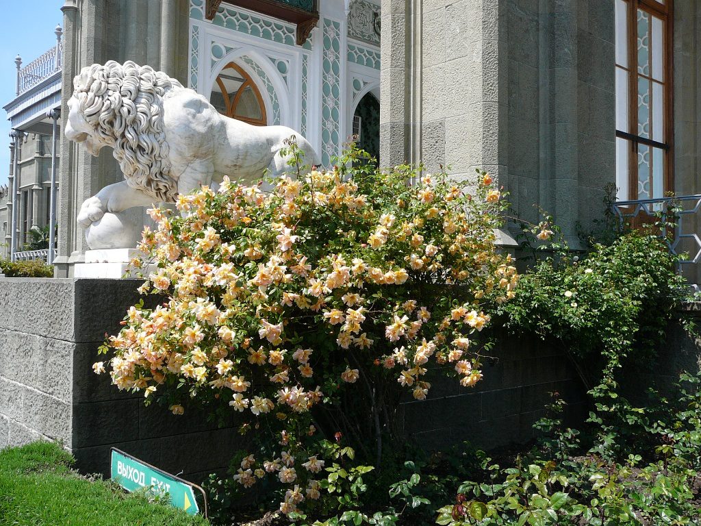 Heritage Russian Roses