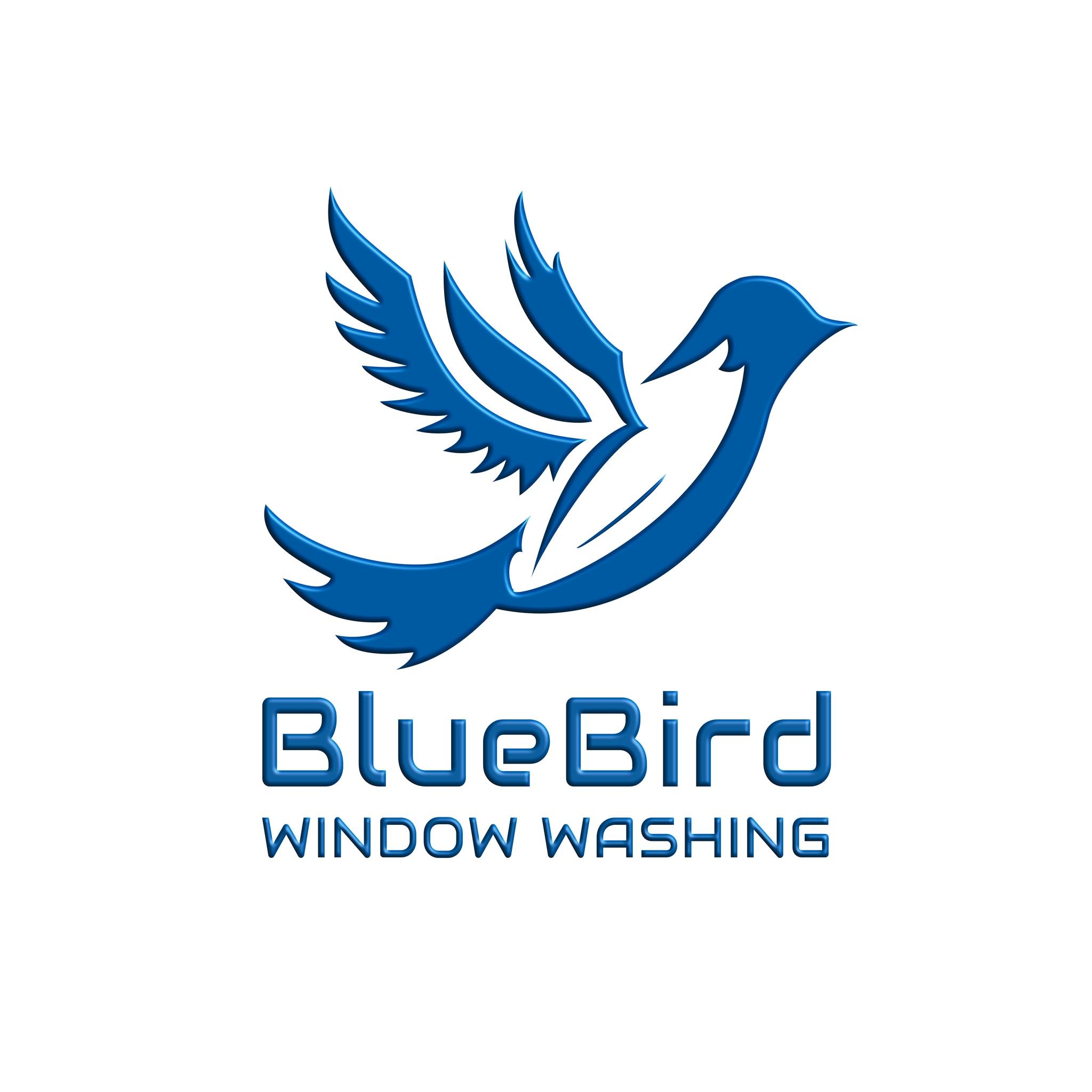 BlueBird Window Washing