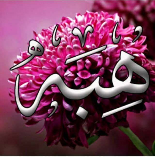 هبه يم يم