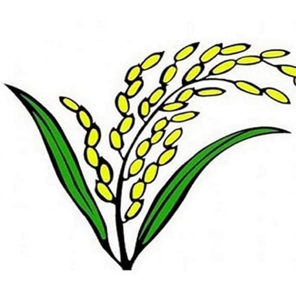 মামু আরিফ
