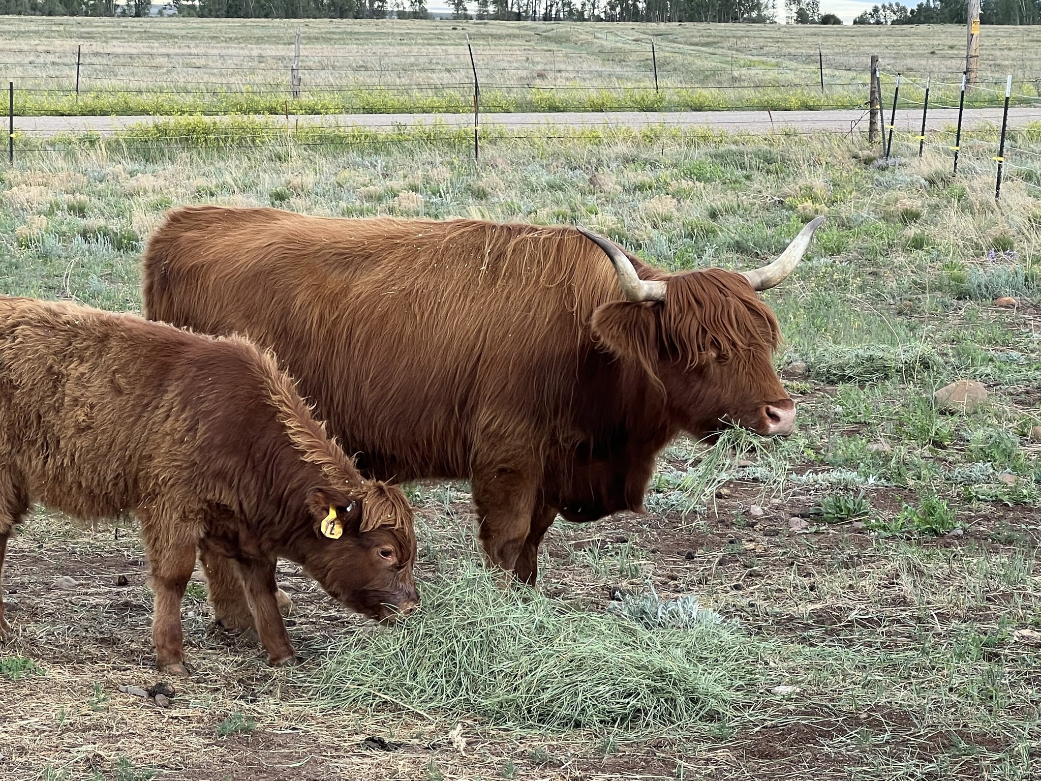 Double G Ranch
