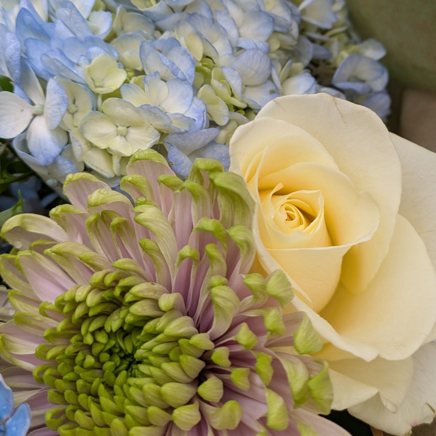 Floral Design: Tips, Tricks and Feedback | What is your favorite white ...