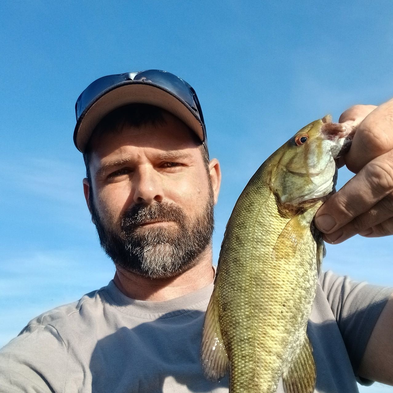 Big Tree Seekers | Pin Oak? MD | Facebook