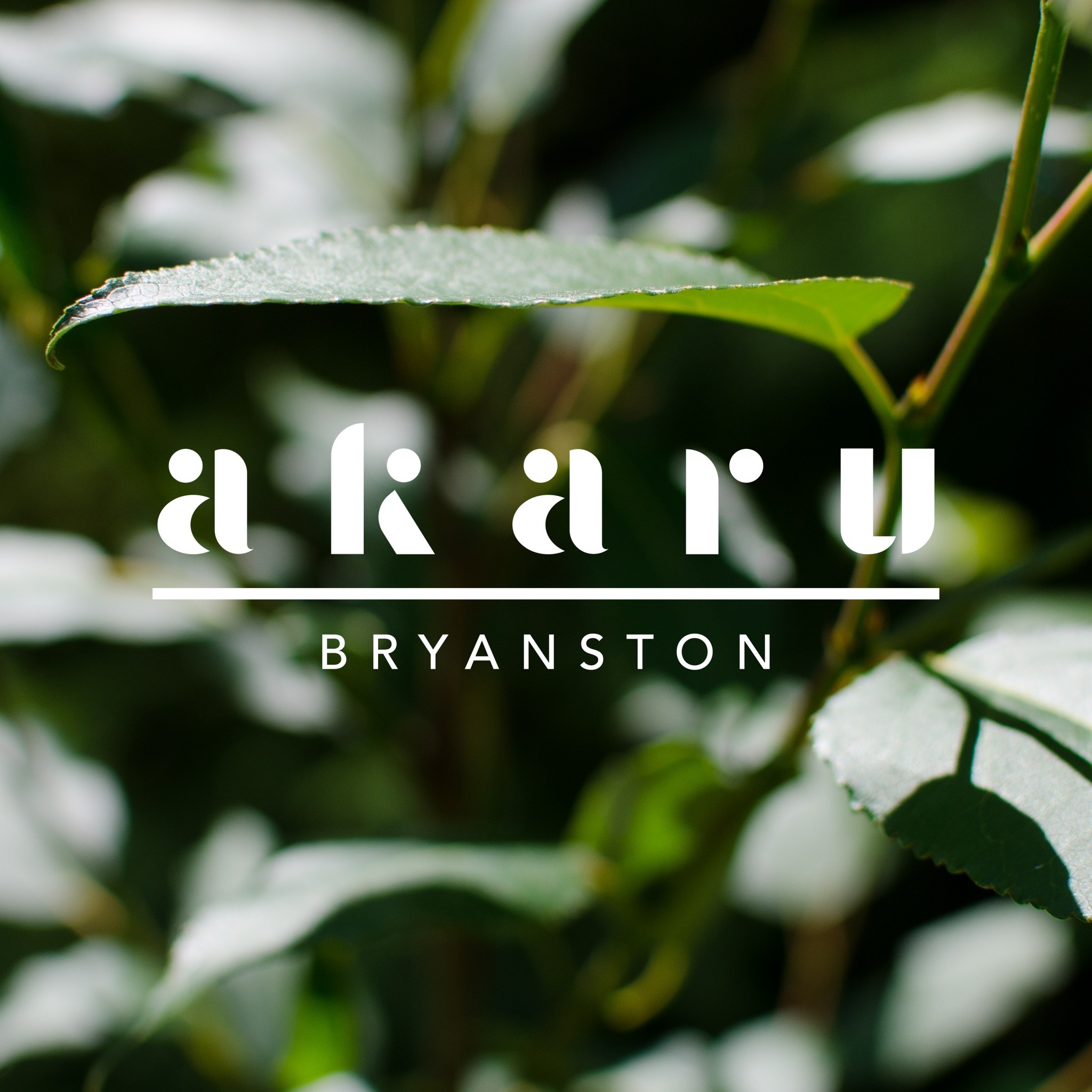 Akaru - Bryanston | Johannesburg