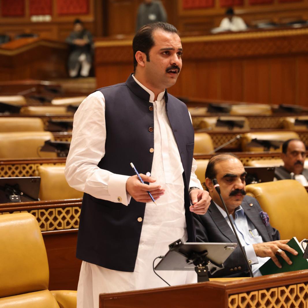 Rana Amir