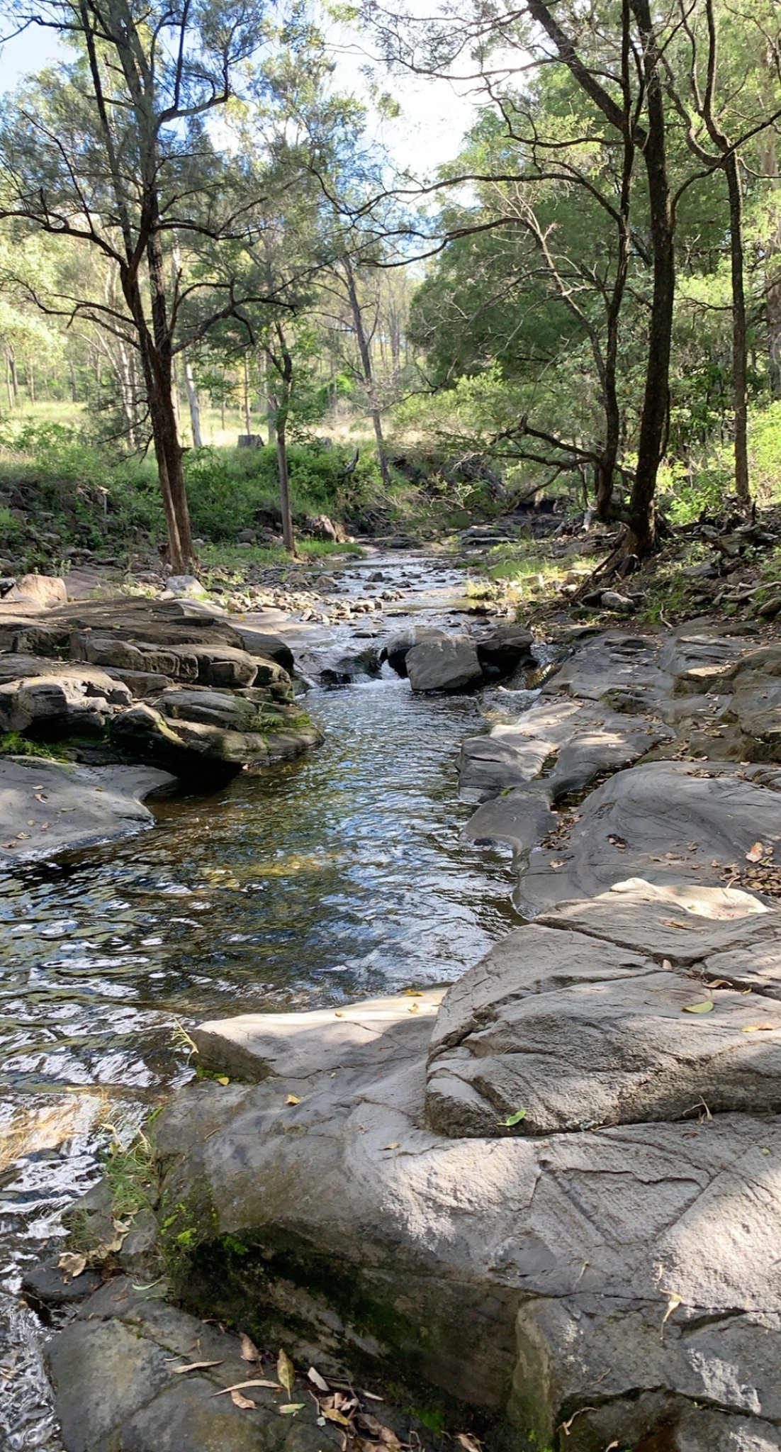 Over the Creek Tarome | Tarome QLD