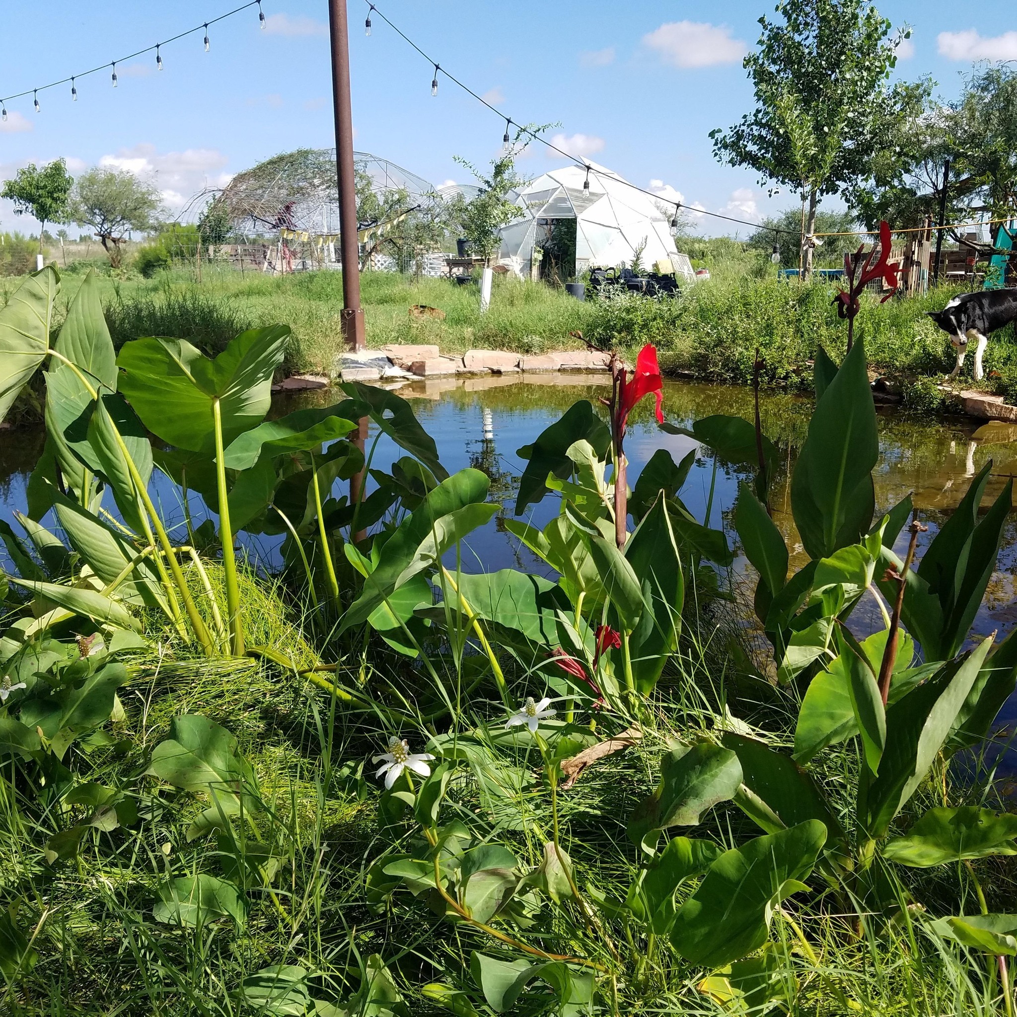 Promise Family Farm | McNeal AZ