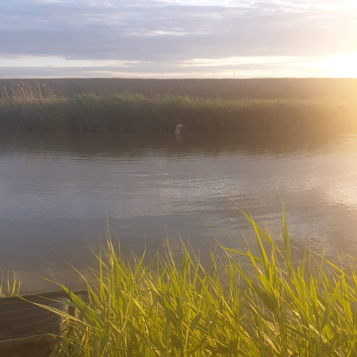 Jijia,UN Râu De Poveste,DE La MARE La MIC